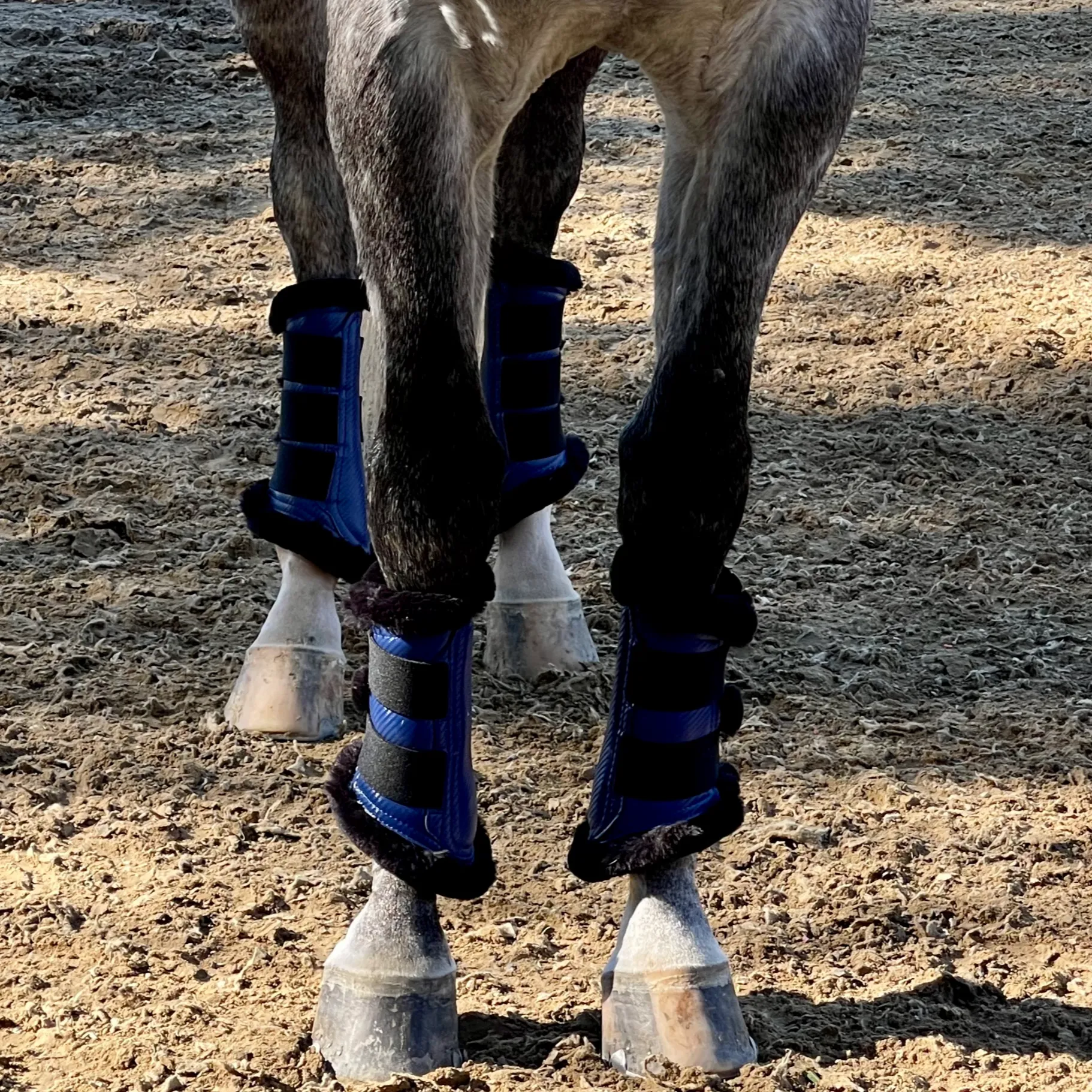 Halter Ego® Brushing Boots - Royal Blue